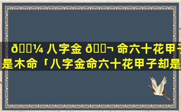 🌼 八字金 🐬 命六十花甲子却是木命「八字金命六十花甲子却是木命什么意思」